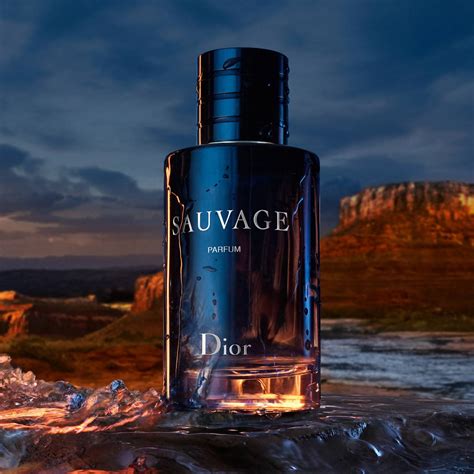 new dior sauvage parfum 2019the bay|Dior Sauvage cheapest deals.